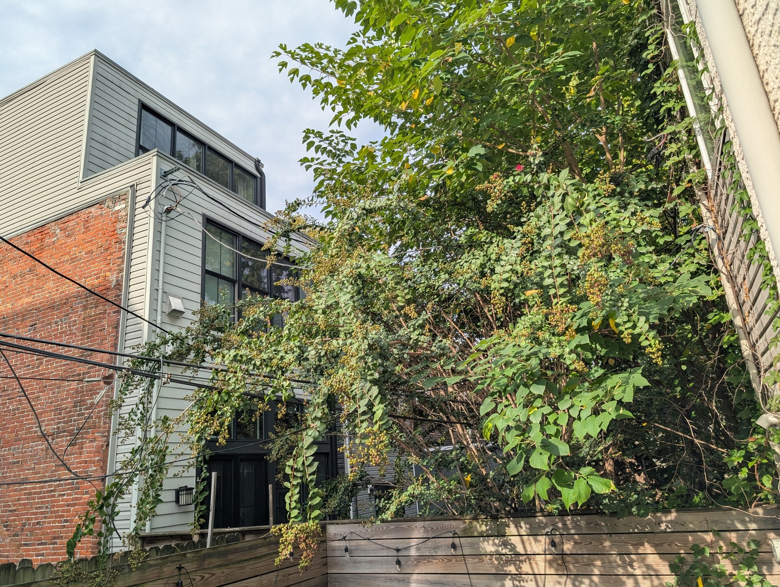 Photographic documentation of the work as submitted to the city's 311 record.