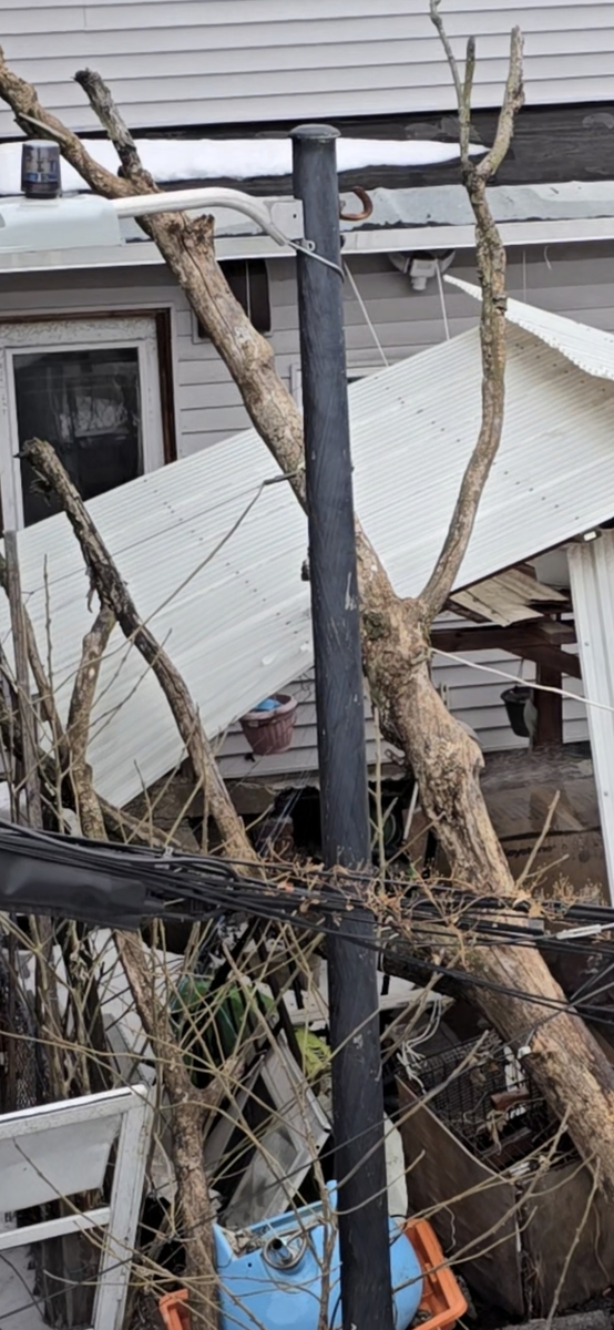 Photographic documentation of the work as submitted to the city's 311 record.