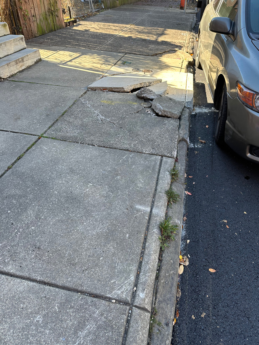 Photographic documentation of the work as submitted to the city's 311 record.