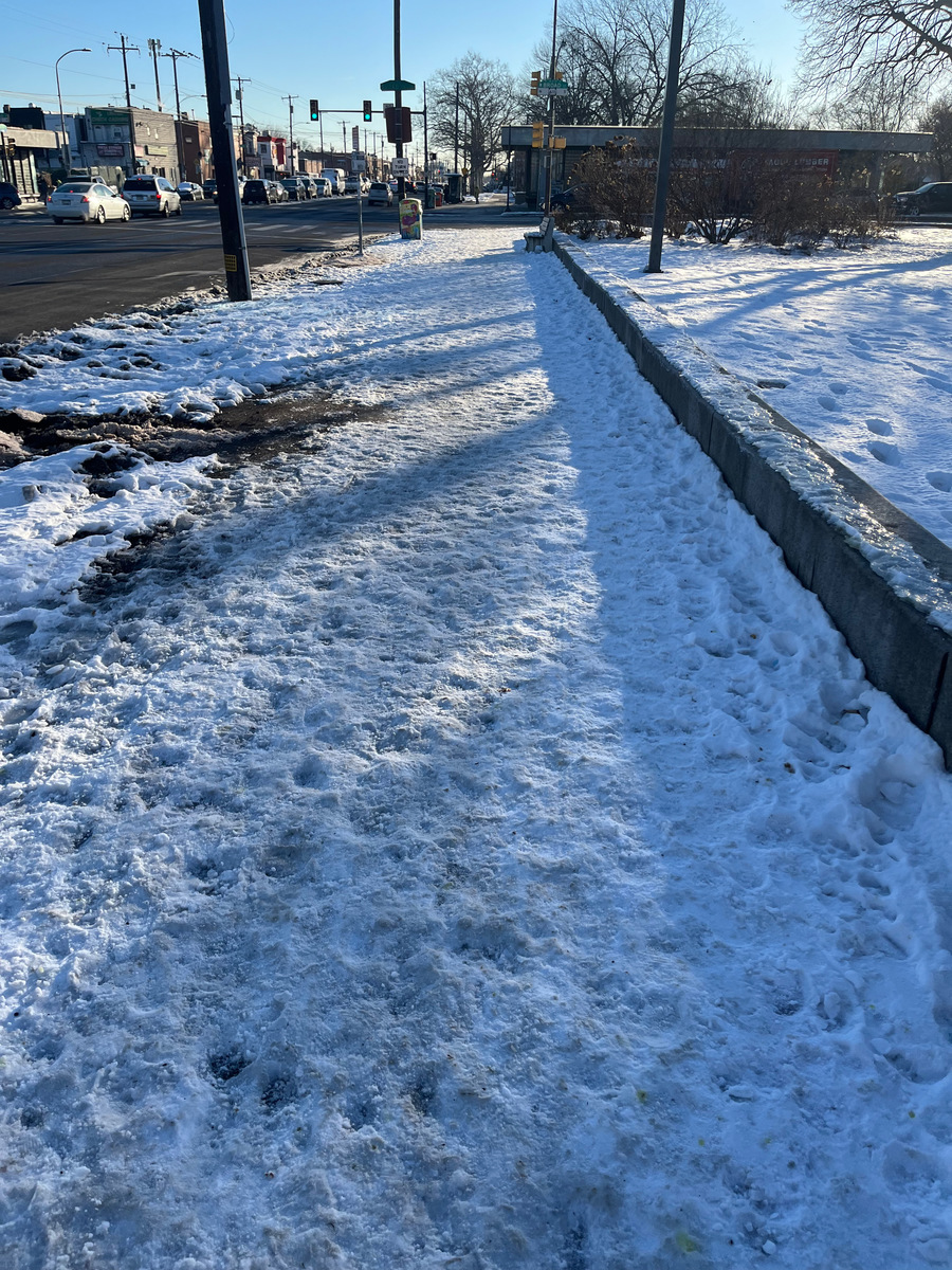 Photographic documentation of the work as submitted to the city's 311 record.