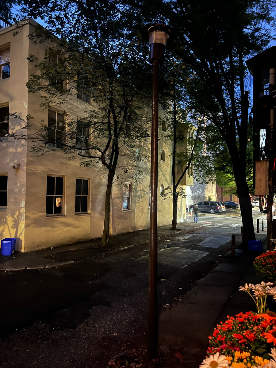Photographic documentation of the work as submitted to the city's 311 record.