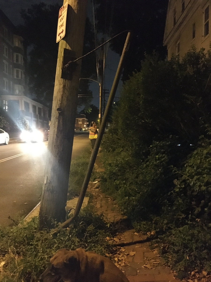 Photographic documentation of the work as submitted to the city's 311 record.