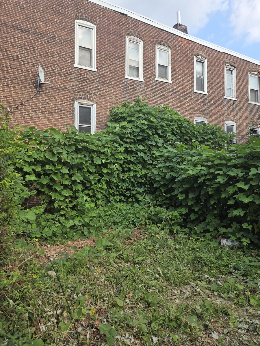 Photographic documentation of the work as submitted to the city's 311 record.