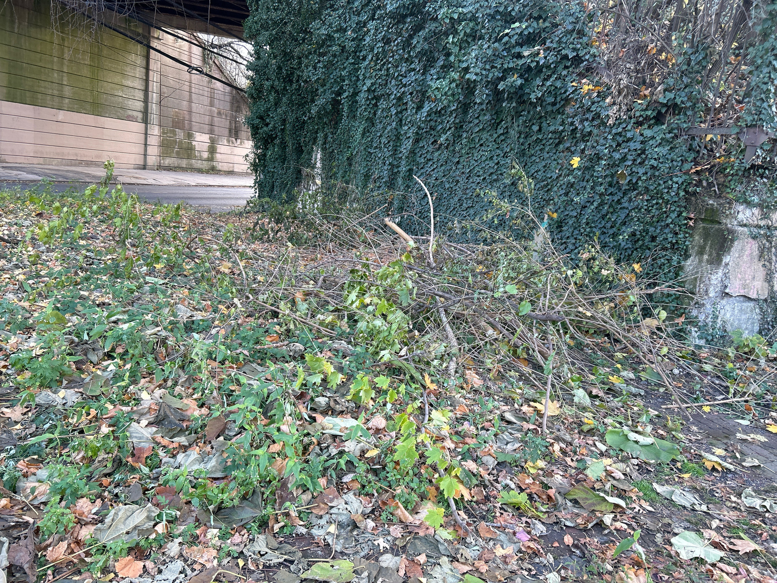 Photographic documentation of the work as submitted to the city's 311 record.