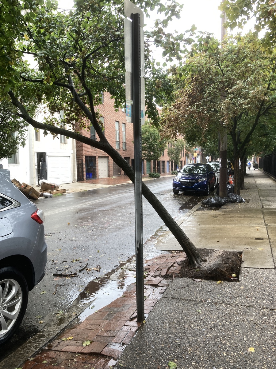 Photographic documentation of the work as submitted to the city's 311 record.