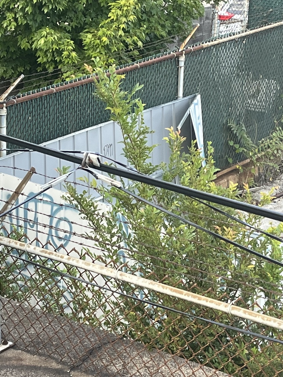 Photographic documentation of the work as submitted to the city's 311 record.
