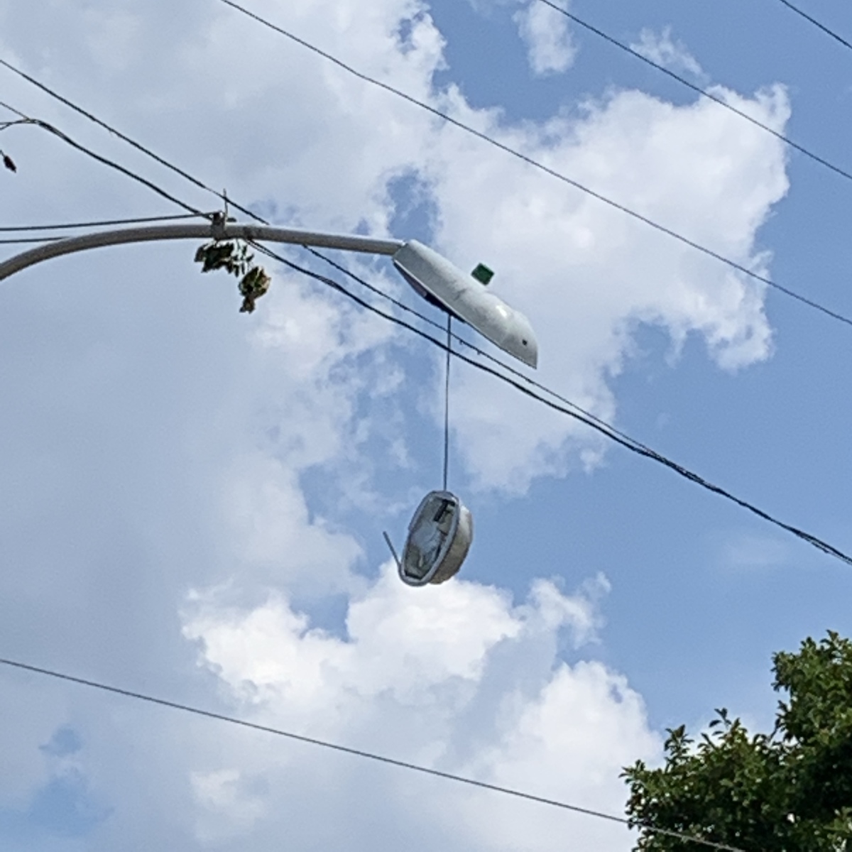 Photographic documentation of the work as submitted to the city's 311 record.