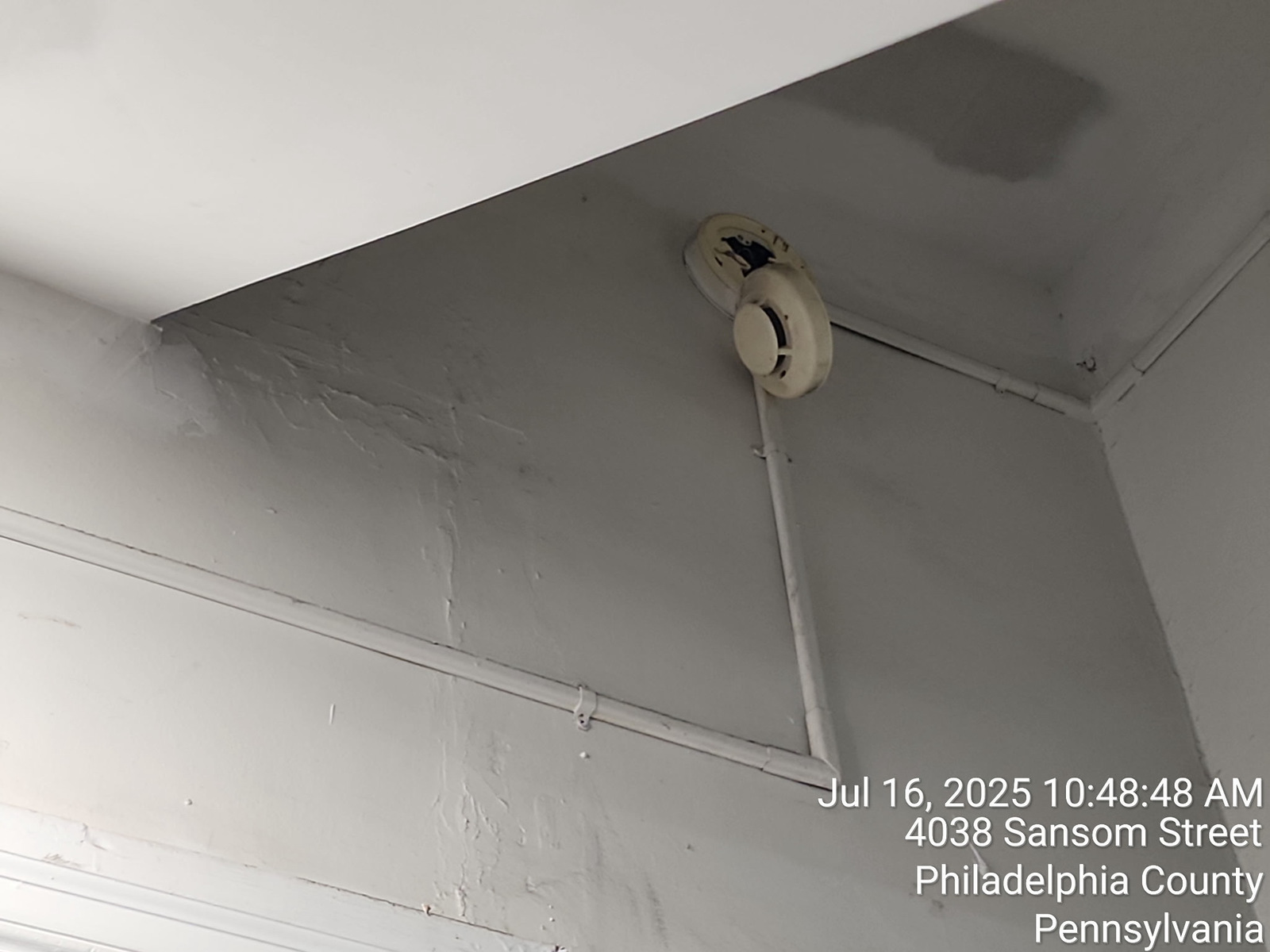 Photographic documentation of the work as submitted to the city's 311 record.