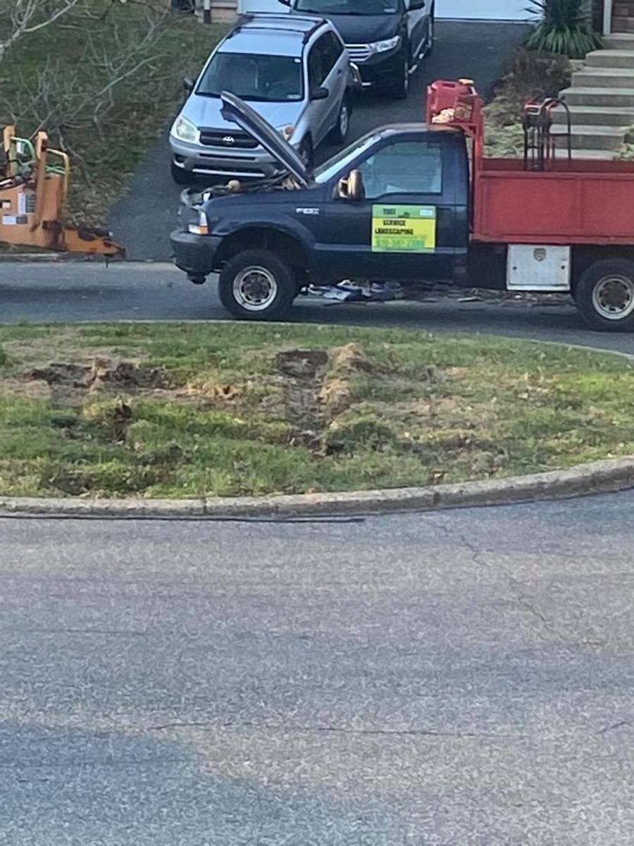 Photographic documentation of the work as submitted to the city's 311 record.