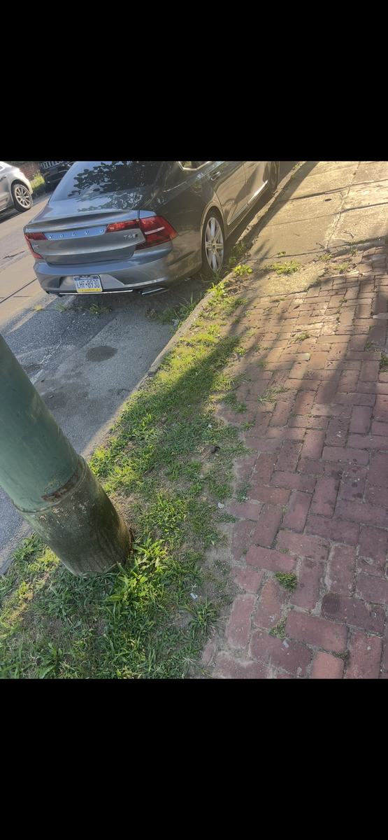 Photographic documentation of the work as submitted to the city's 311 record.