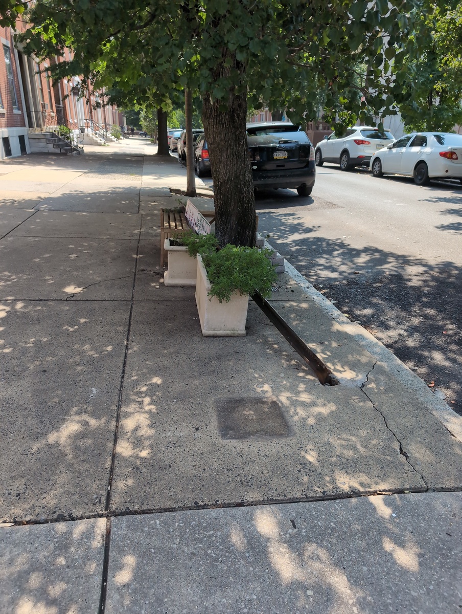 Photographic documentation of the work as submitted to the city's 311 record.