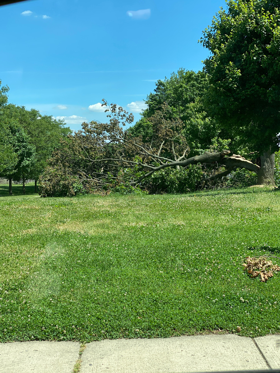 Photographic documentation of the work as submitted to the city's 311 record.