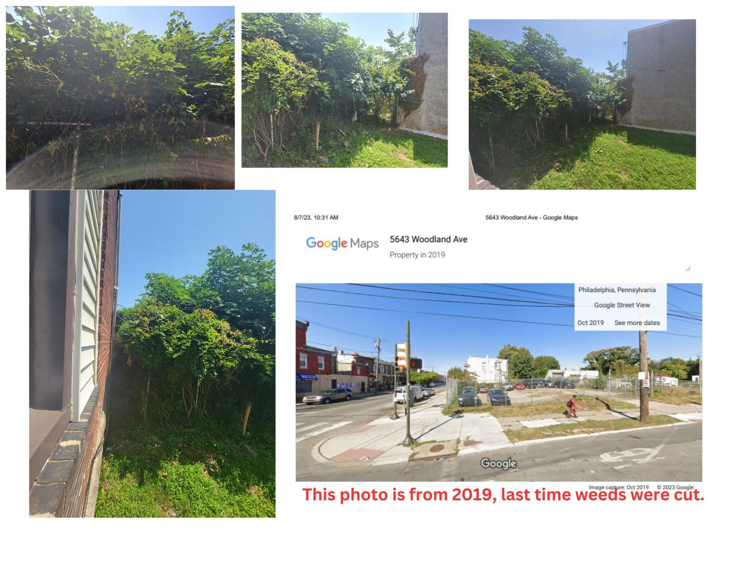 Photographic documentation of the work as submitted to the city's 311 record.