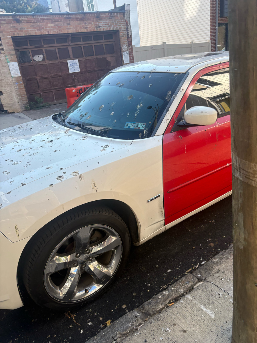 Photographic documentation of the work as submitted to the city's 311 record.