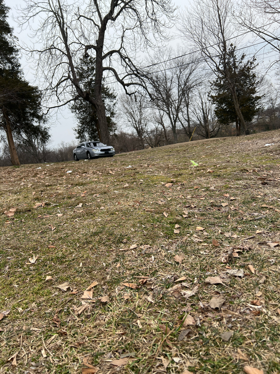 Photographic documentation of the work as submitted to the city's 311 record.