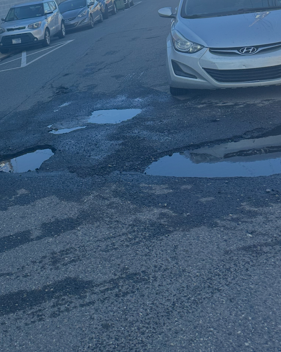 Photographic documentation of the work as submitted to the city's 311 record.