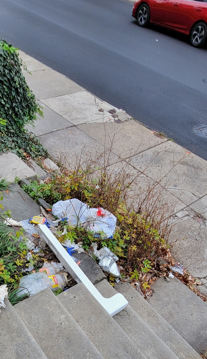Photographic documentation of the work as submitted to the city's 311 record.