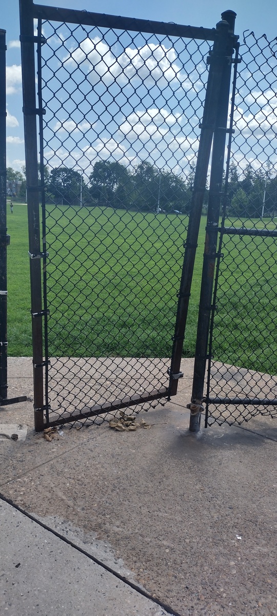 Photographic documentation of the work as submitted to the city's 311 record.