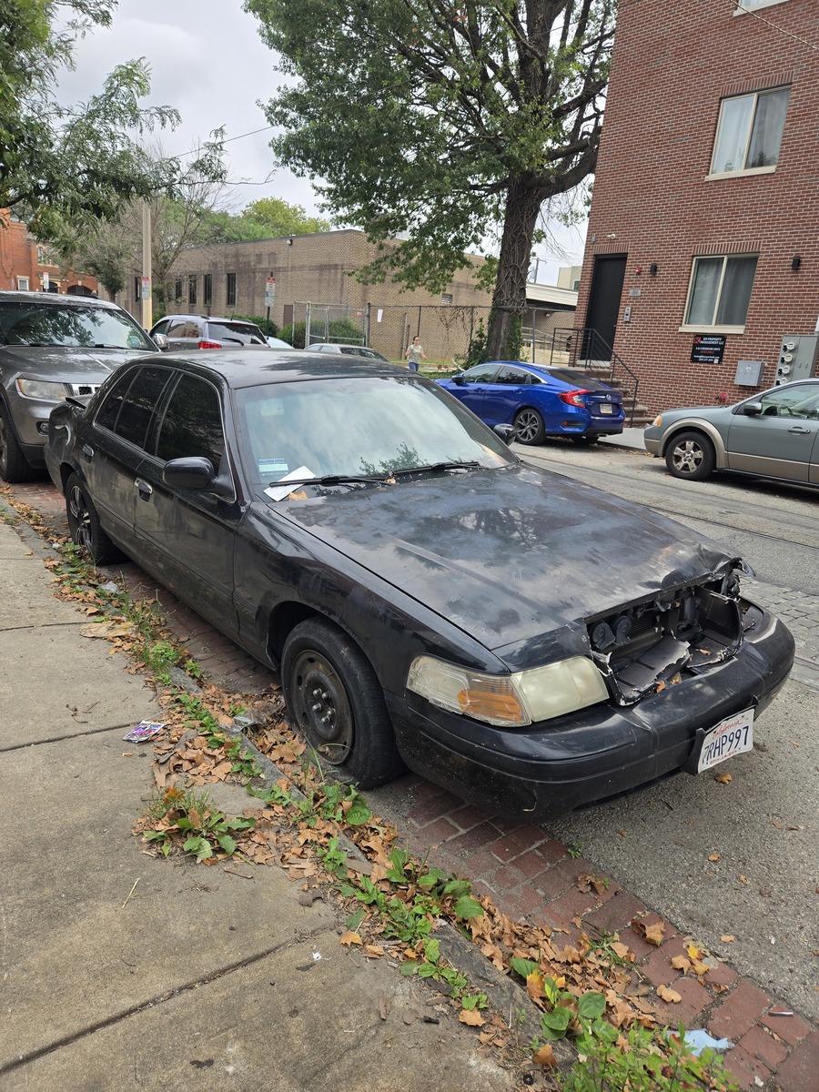 Photographic documentation of the work as submitted to the city's 311 record.