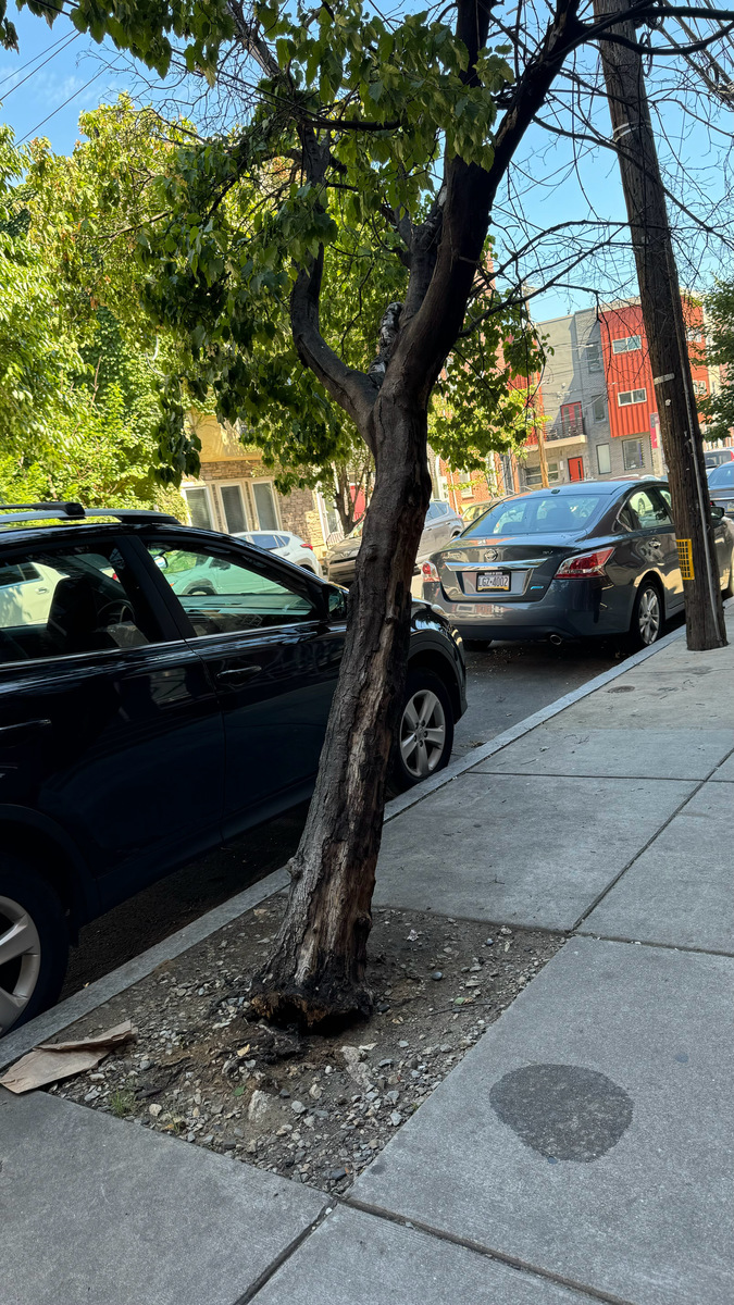 Photographic documentation of the work as submitted to the city's 311 record.