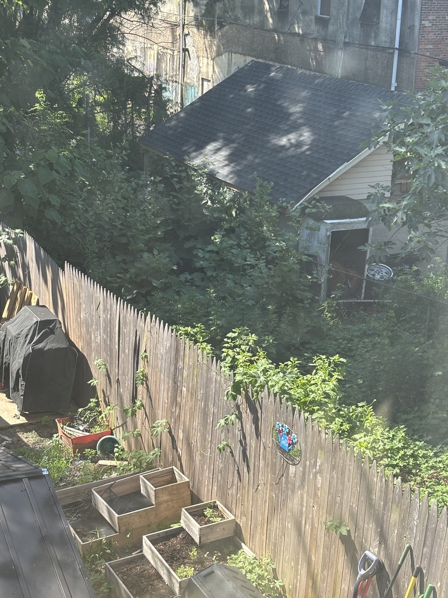 Photographic documentation of the work as submitted to the city's 311 record.
