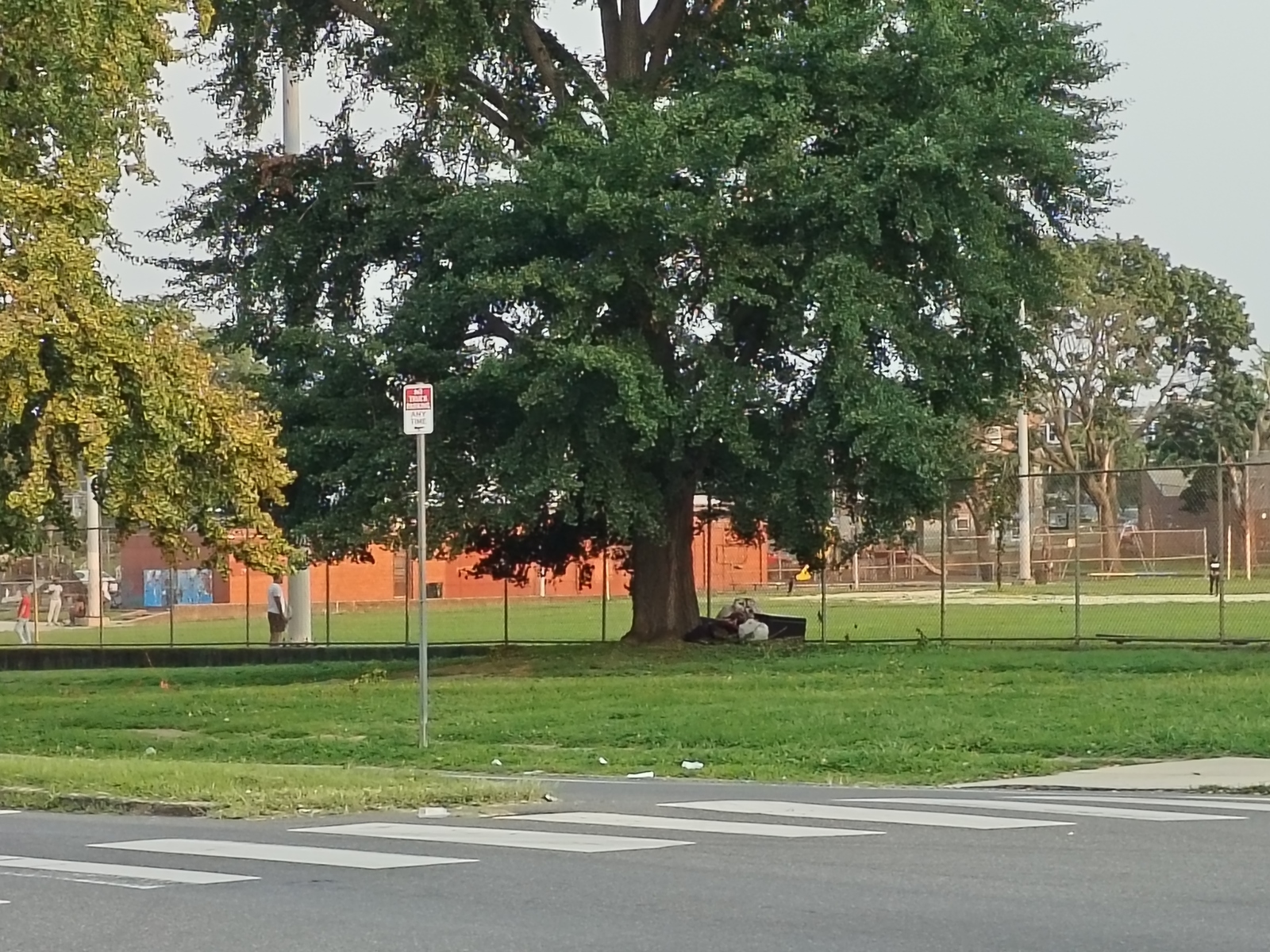 Photographic documentation of the work as submitted to the city's 311 record.