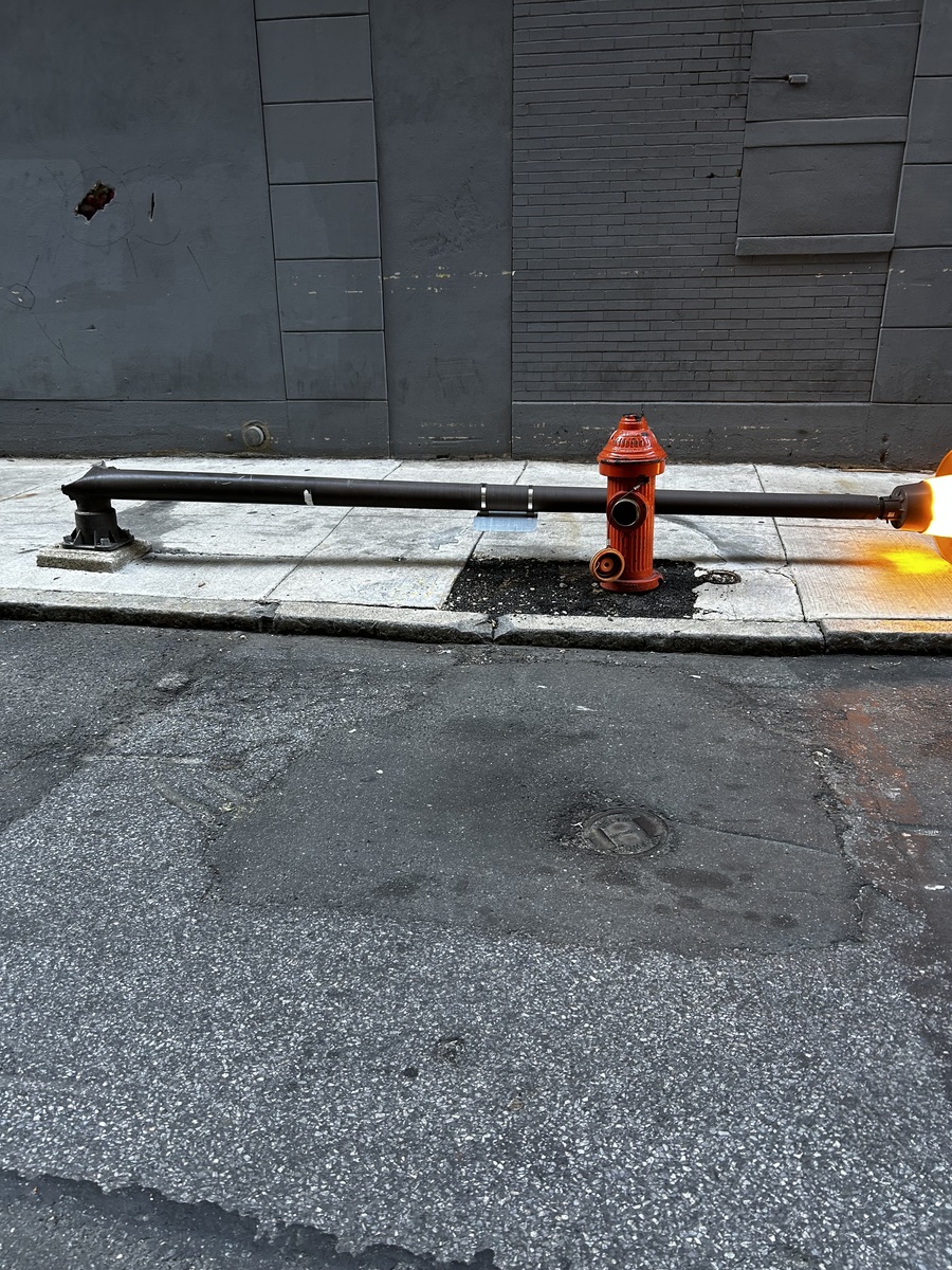 Photographic documentation of the work as submitted to the city's 311 record.