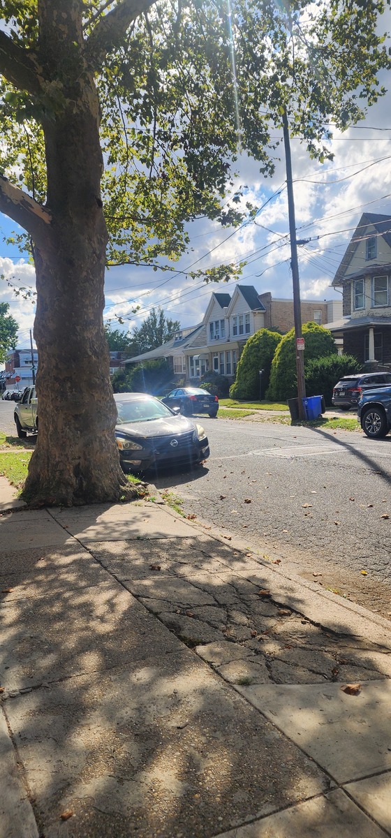 Photographic documentation of the work as submitted to the city's 311 record.