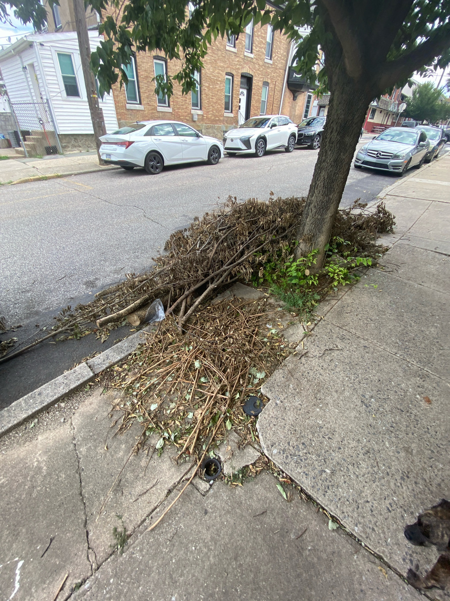 Photographic documentation of the work as submitted to the city's 311 record.