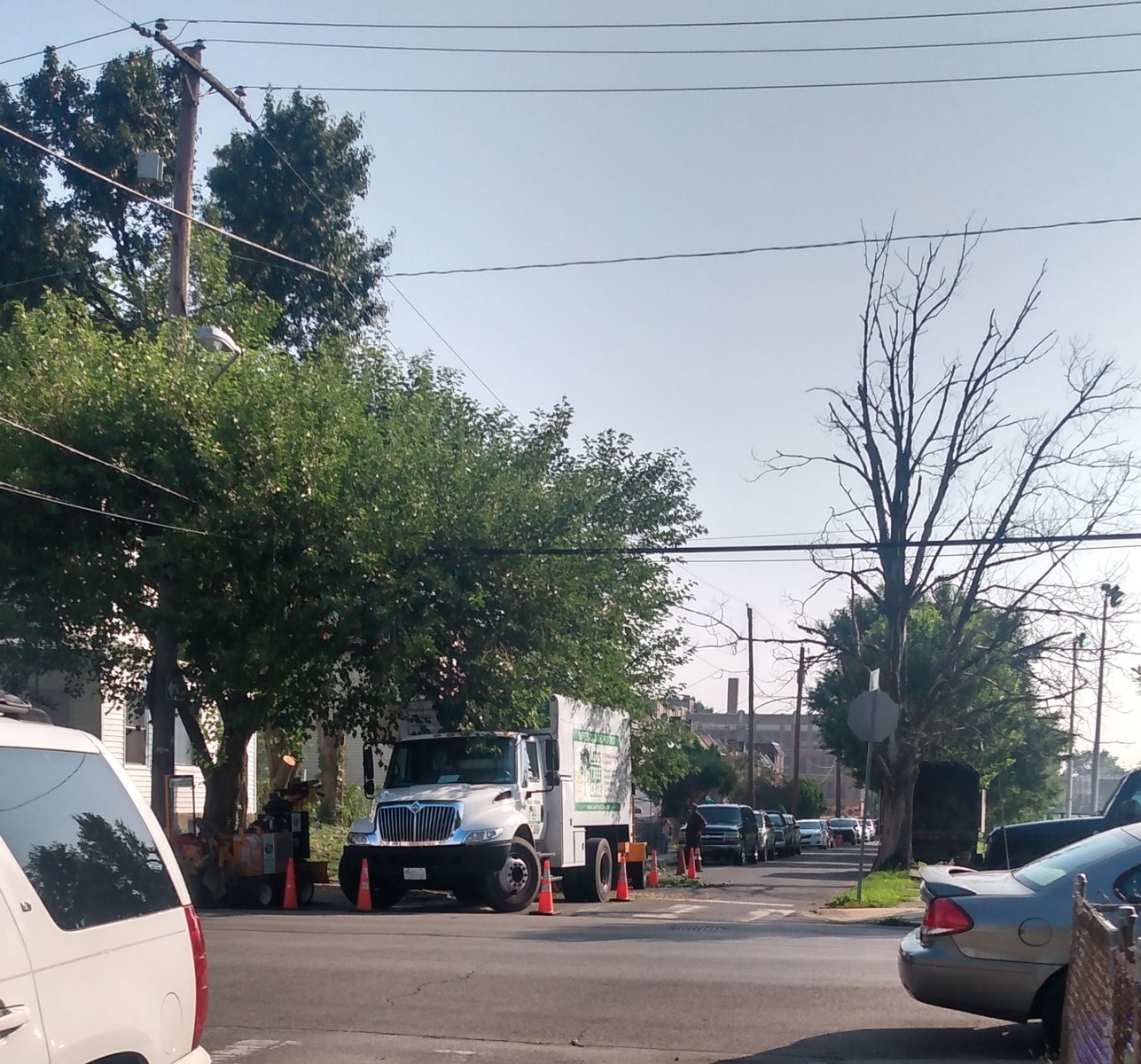 Photographic documentation of the work as submitted to the city's 311 record.