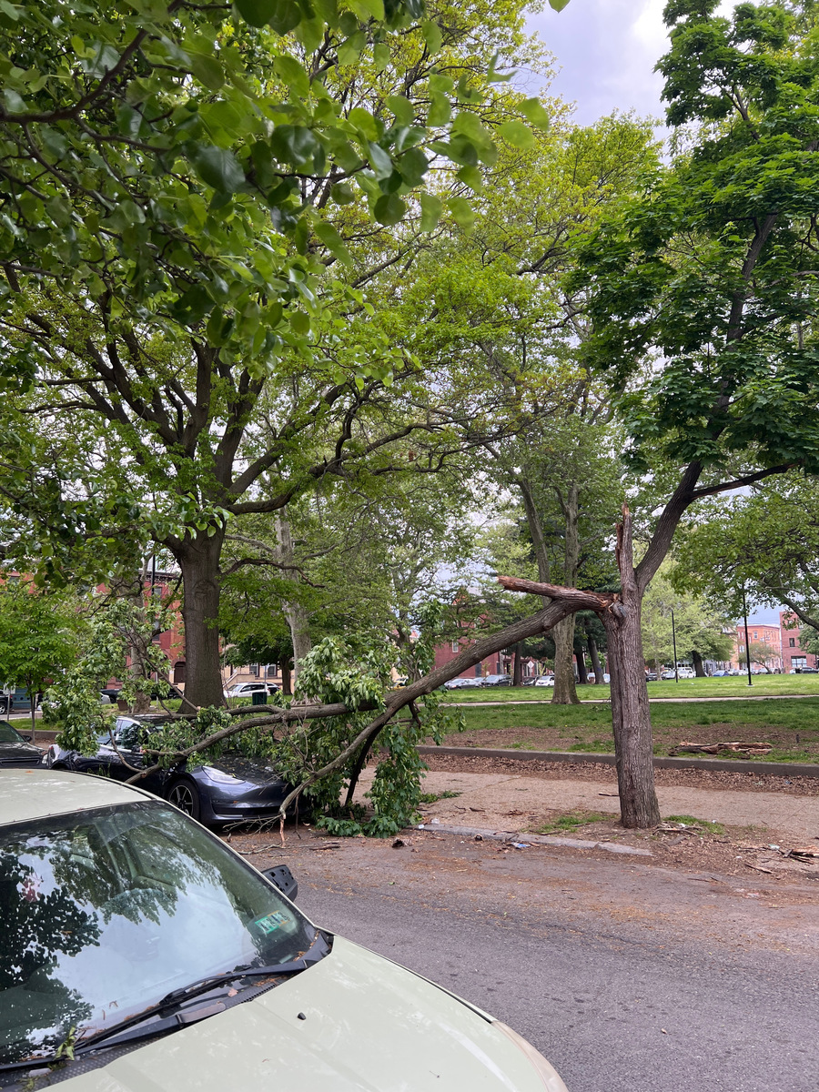 Photographic documentation of the work as submitted to the city's 311 record.
