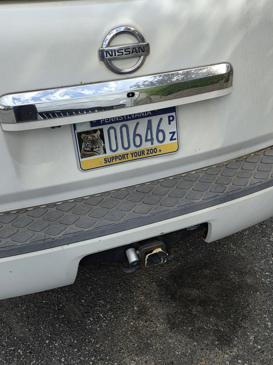 Photographic documentation of the work as submitted to the city's 311 record.