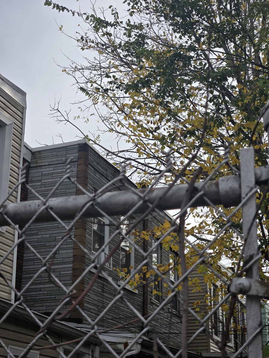 Photographic documentation of the work as submitted to the city's 311 record.