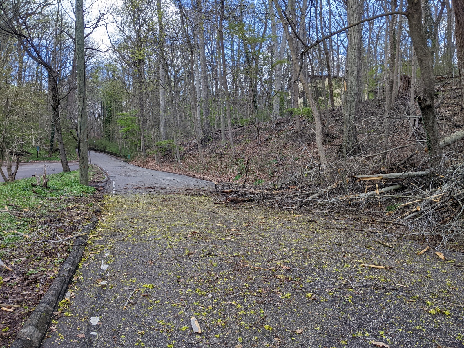 Photographic documentation of the work as submitted to the city's 311 record.