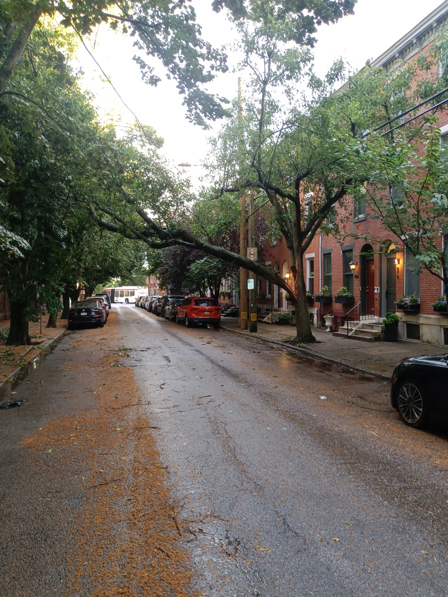 Photographic documentation of the work as submitted to the city's 311 record.