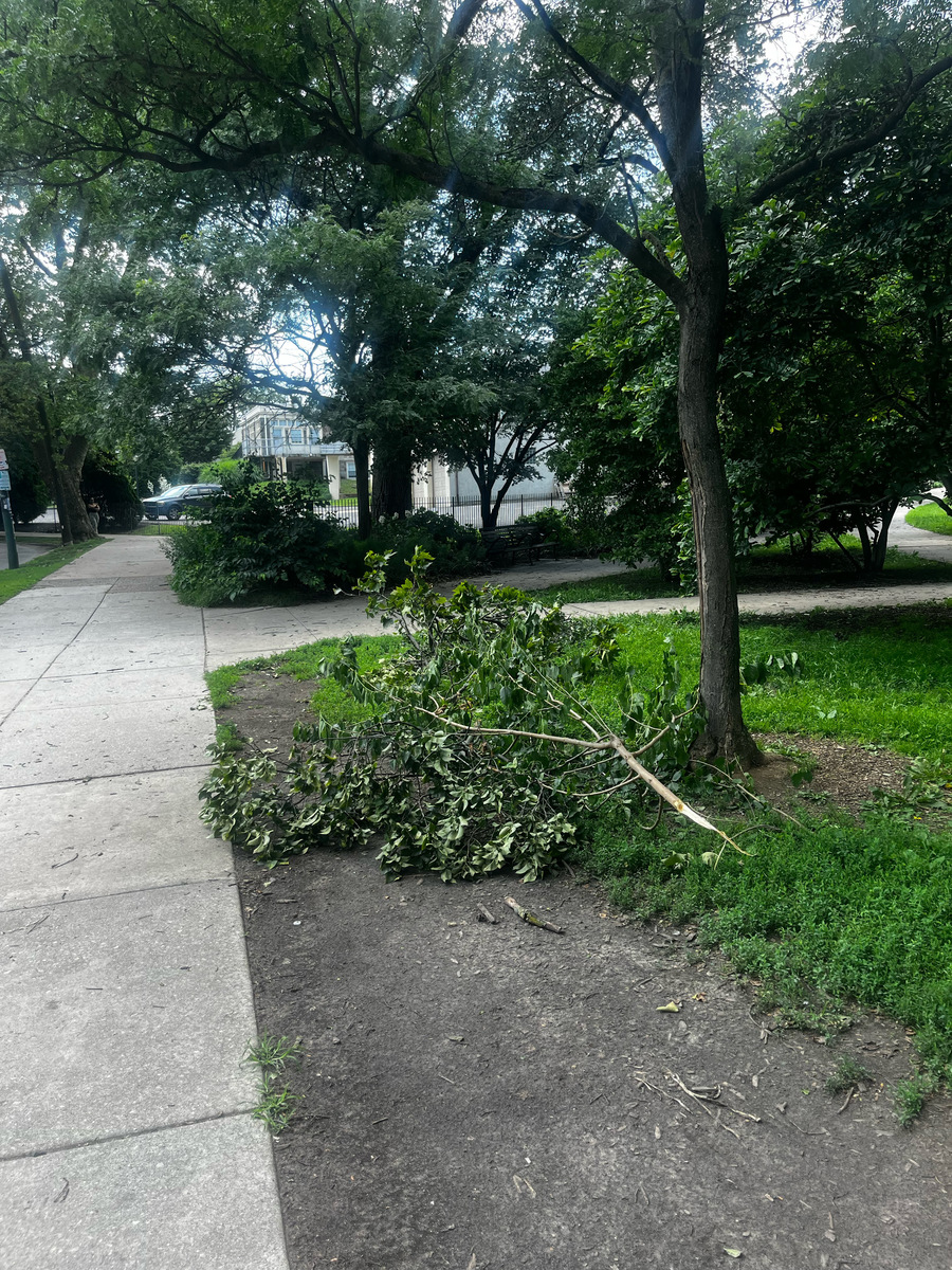 Photographic documentation of the work as submitted to the city's 311 record.