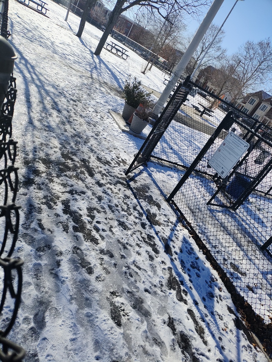 Photographic documentation of the work as submitted to the city's 311 record.