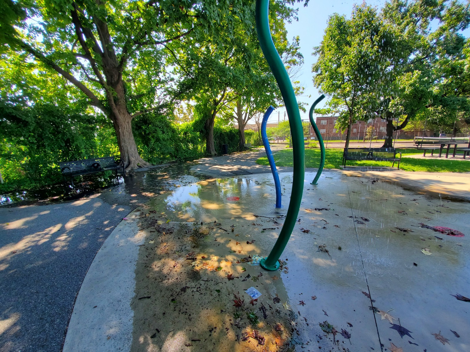 Photographic documentation of the work as submitted to the city's 311 record.