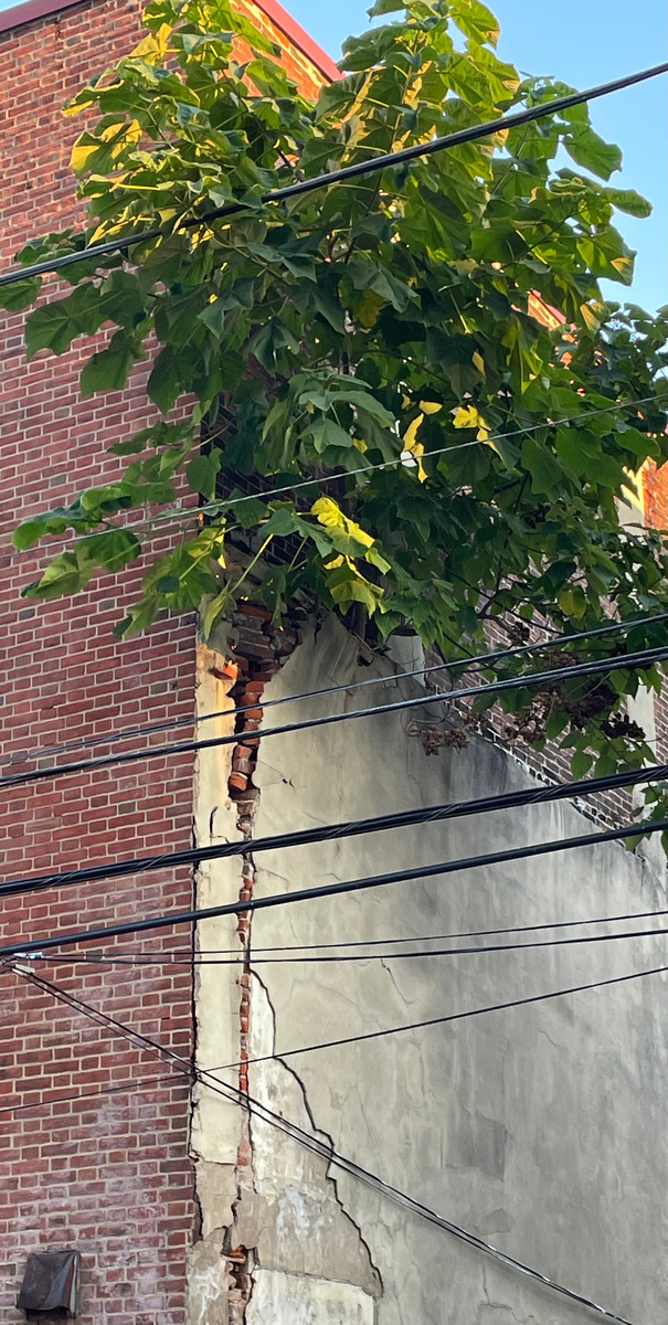 Photographic documentation of the work as submitted to the city's 311 record.