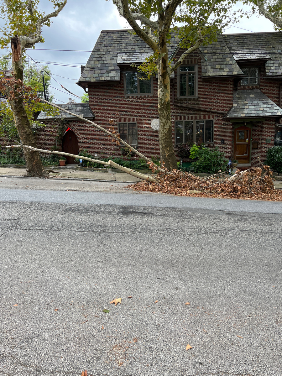 Photographic documentation of the work as submitted to the city's 311 record.