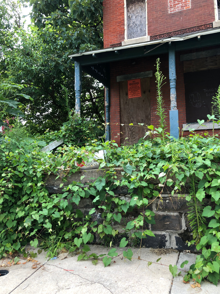 Photographic documentation of the work as submitted to the city's 311 record.