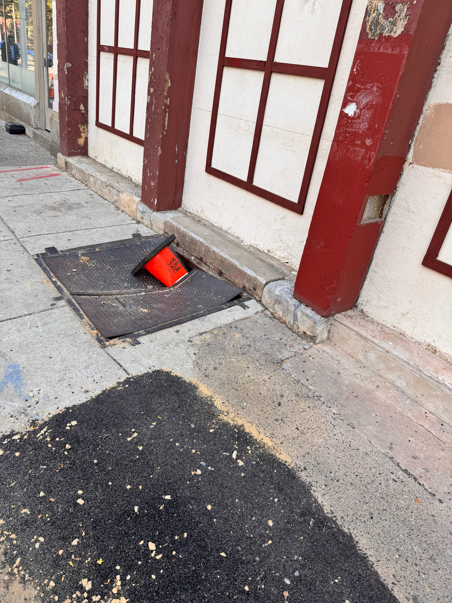 Photographic documentation of the work as submitted to the city's 311 record.