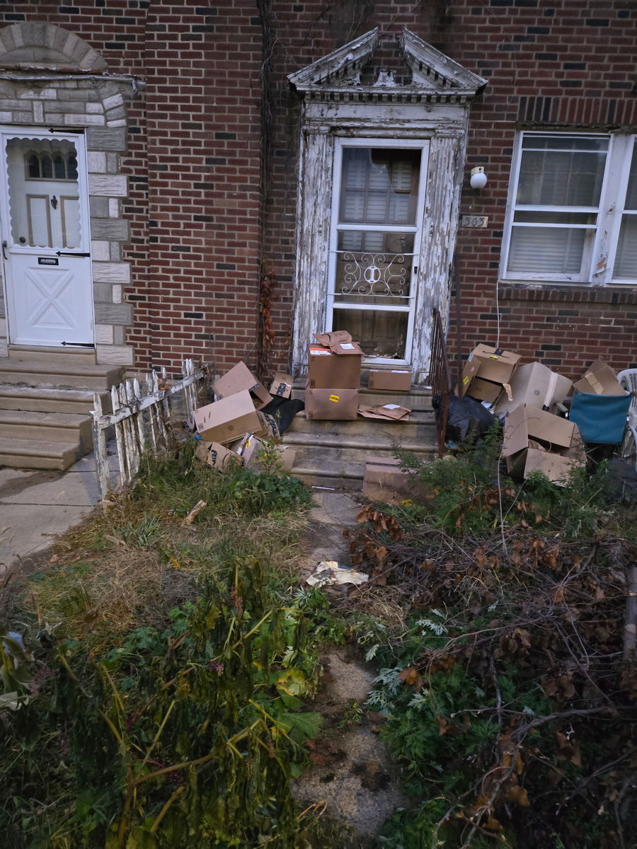 Photographic documentation of the work as submitted to the city's 311 record.