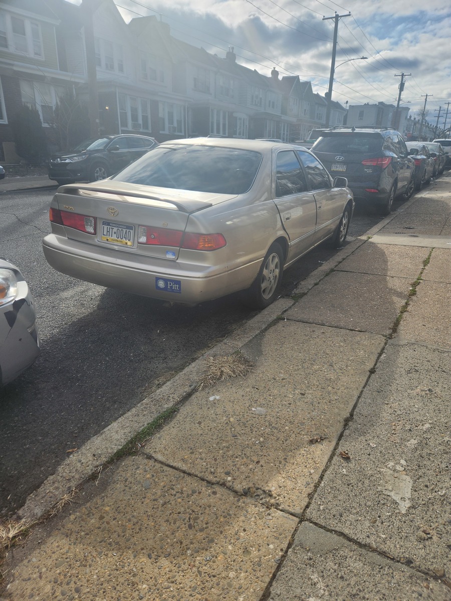 Photographic documentation of the work as submitted to the city's 311 record.