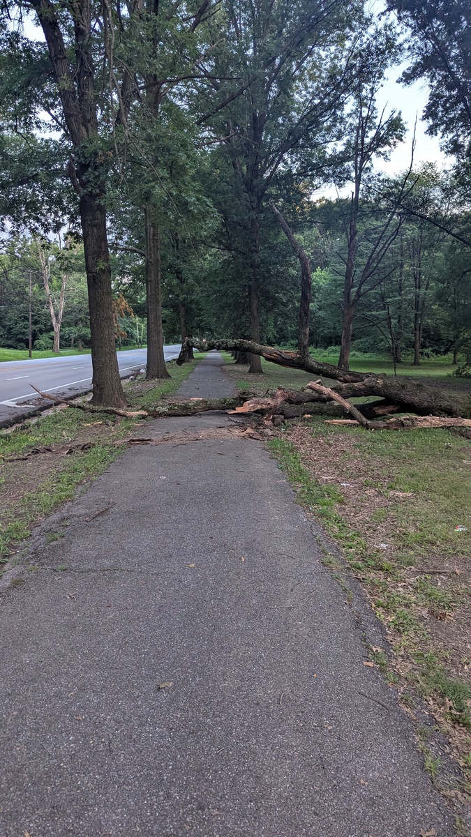 Photographic documentation of the work as submitted to the city's 311 record.