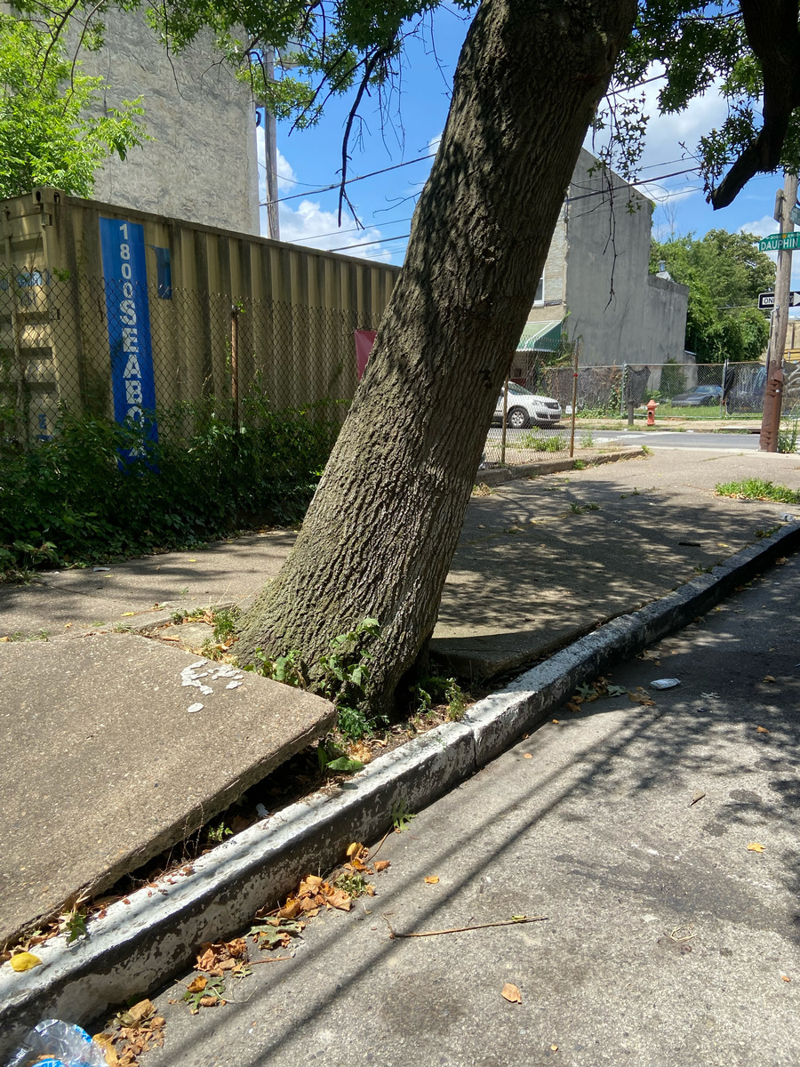 Photographic documentation of the work as submitted to the city's 311 record.