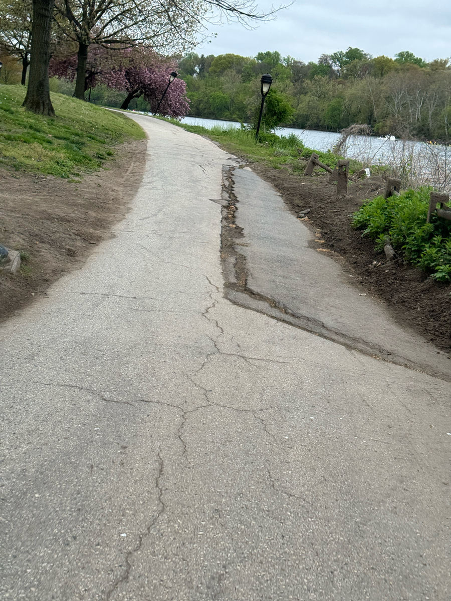 Photographic documentation of the work as submitted to the city's 311 record.