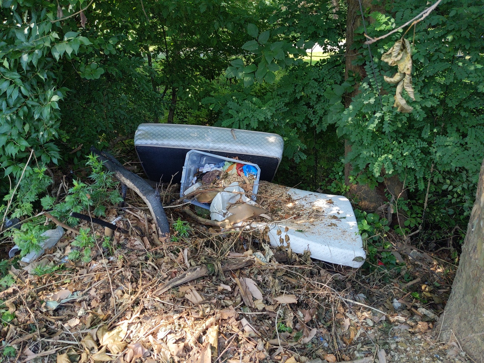 Photographic documentation of the work as submitted to the city's 311 record.