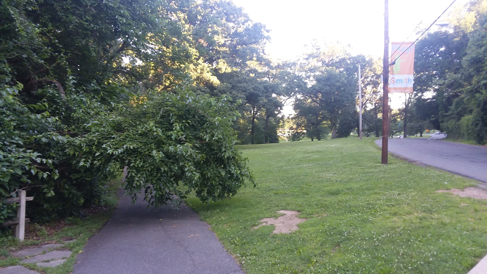 Photographic documentation of the work as submitted to the city's 311 record.