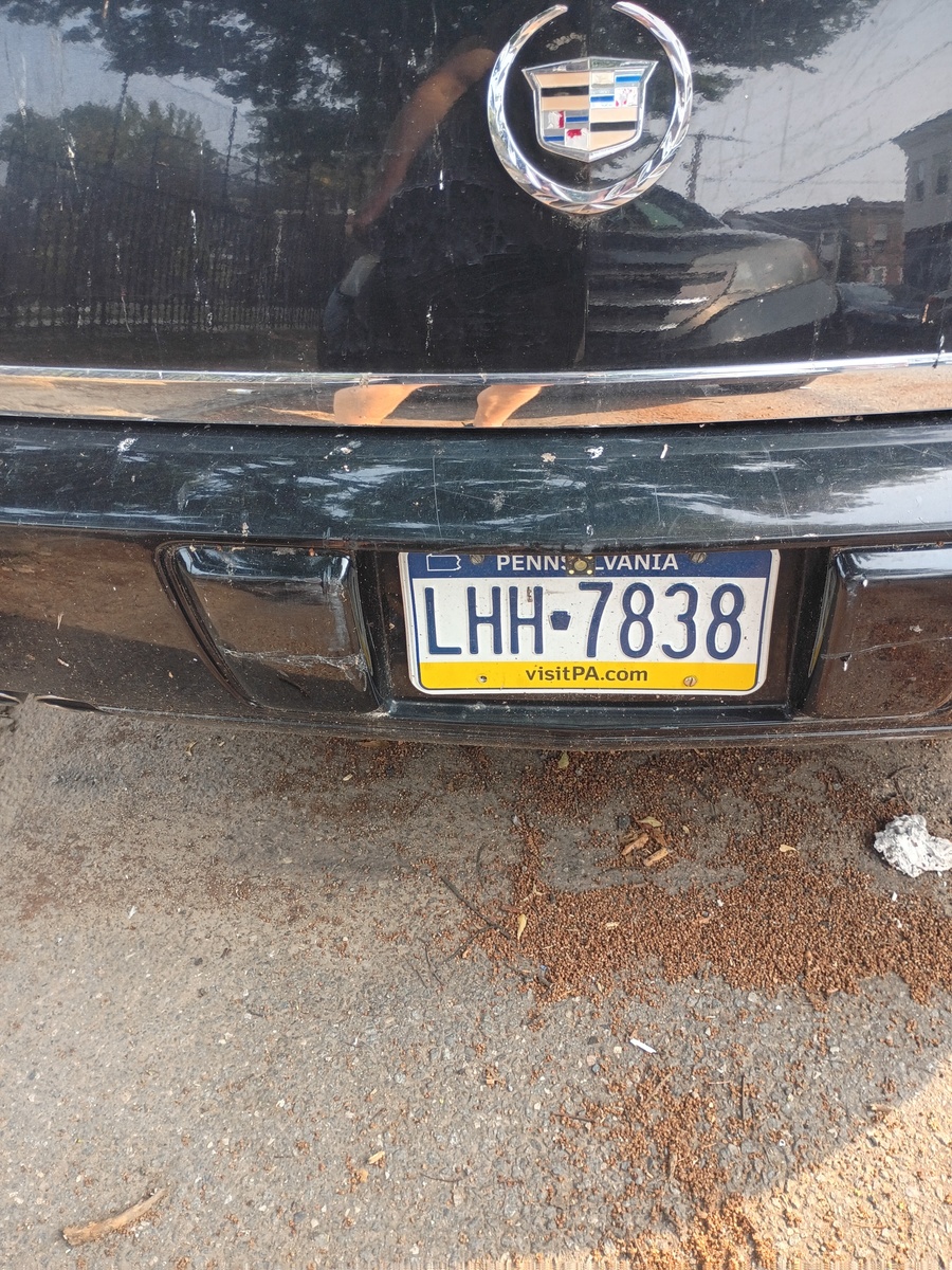 Photographic documentation of the work as submitted to the city's 311 record.